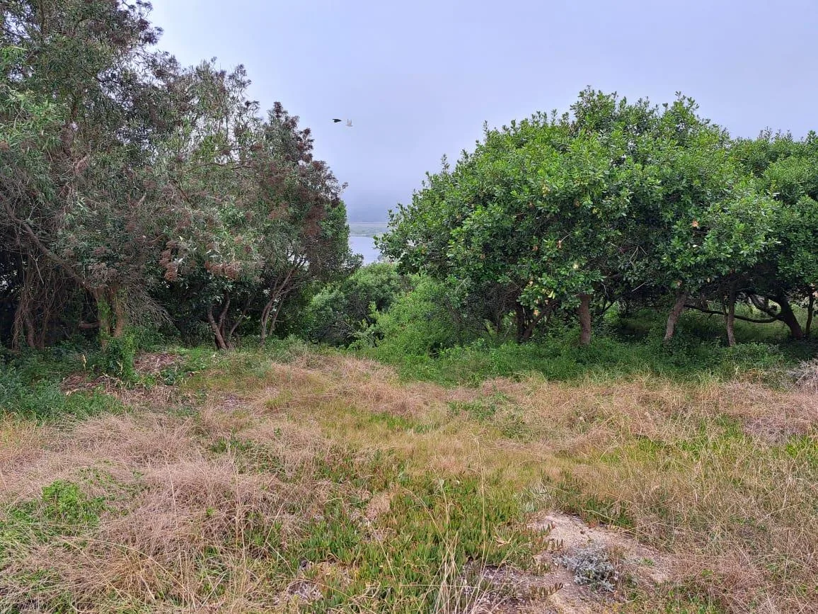 1 168 m² Land available in Groot Brakrivier