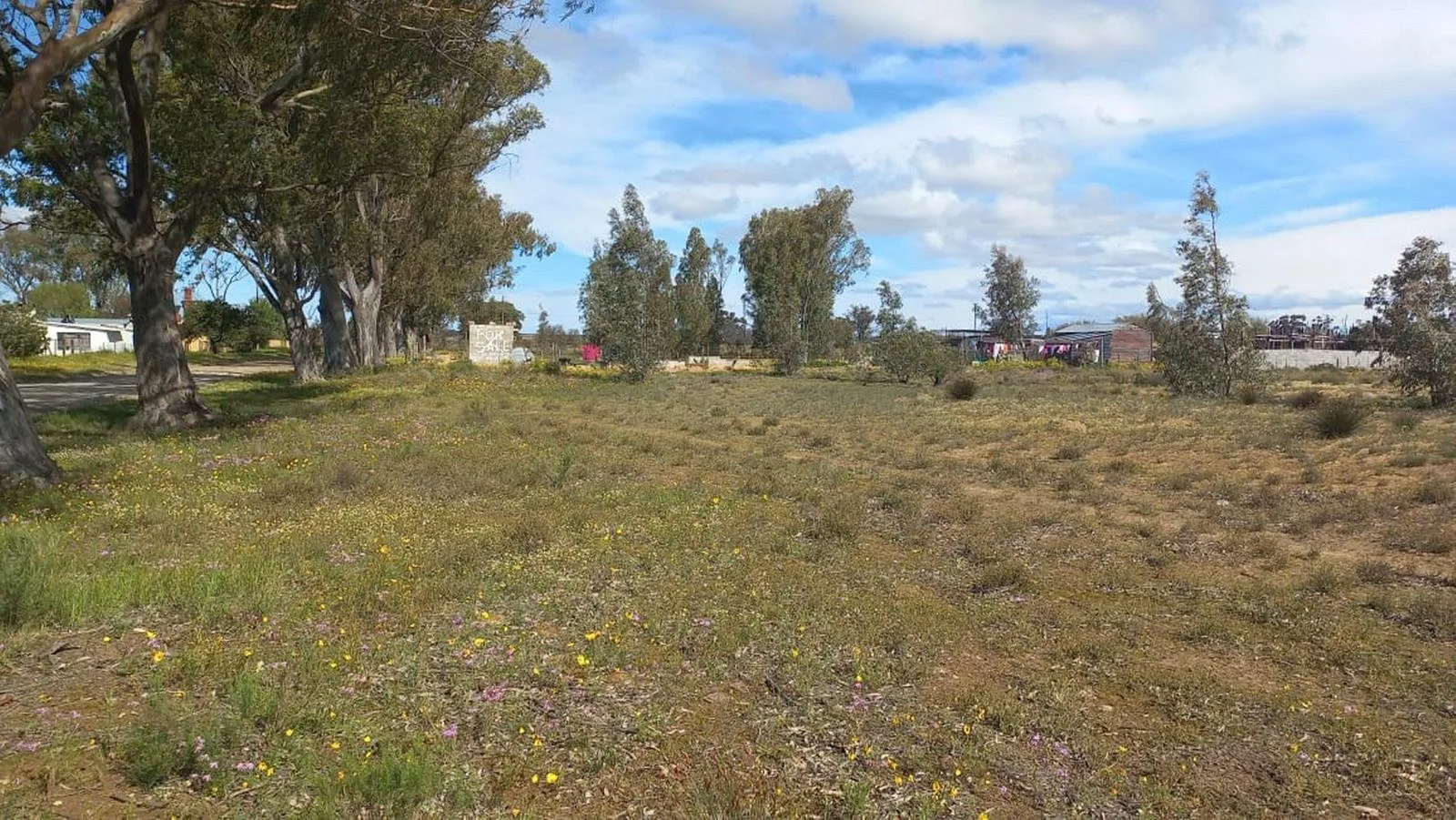 893 m² Land available in Nieuwoudtville