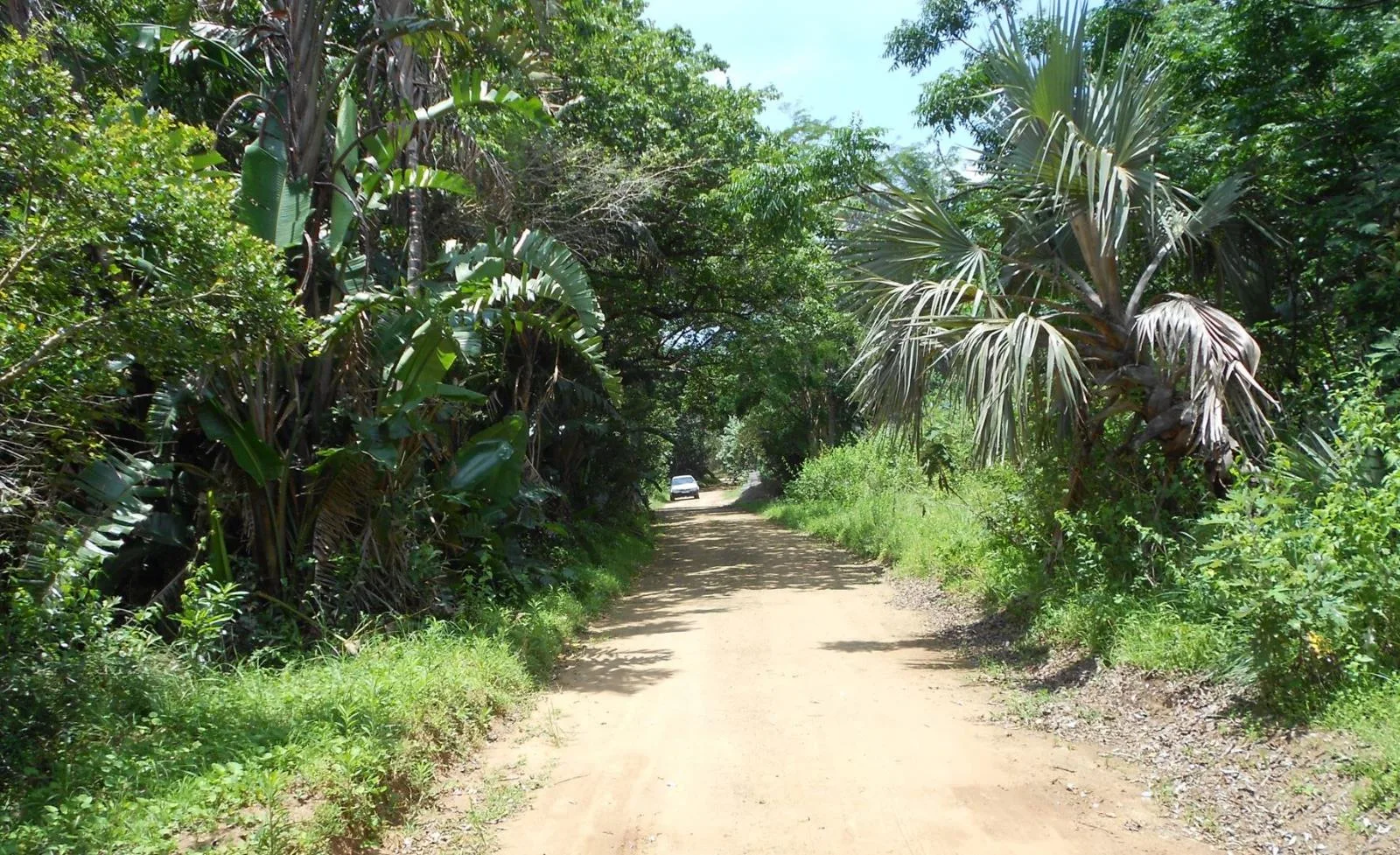 Property for sale in Palm Beach