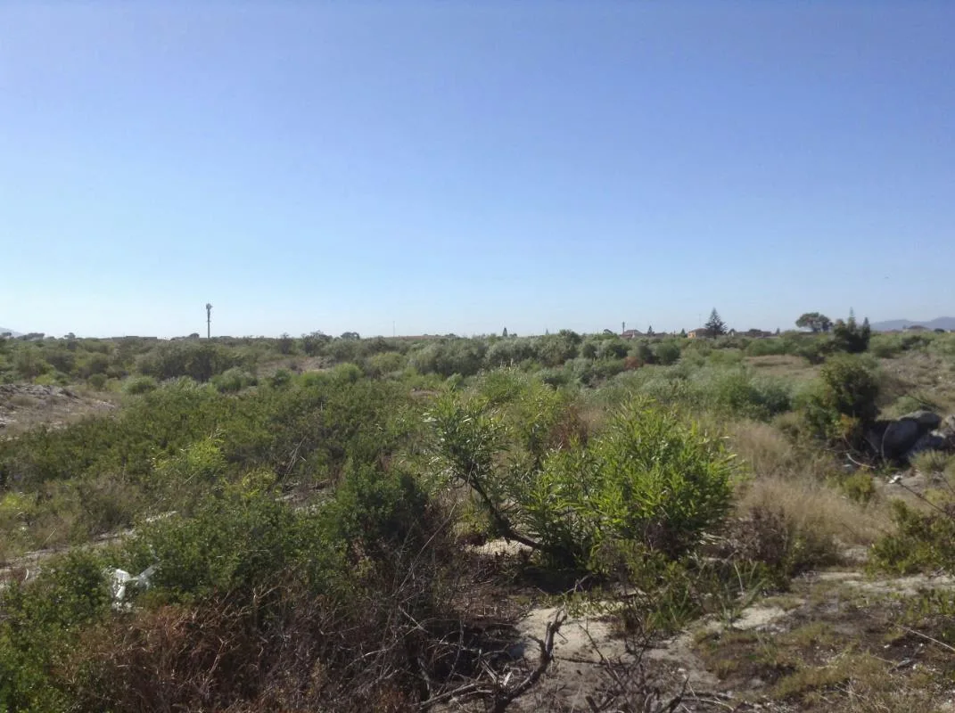 4 049 m² Land available in Weltevreden Valley