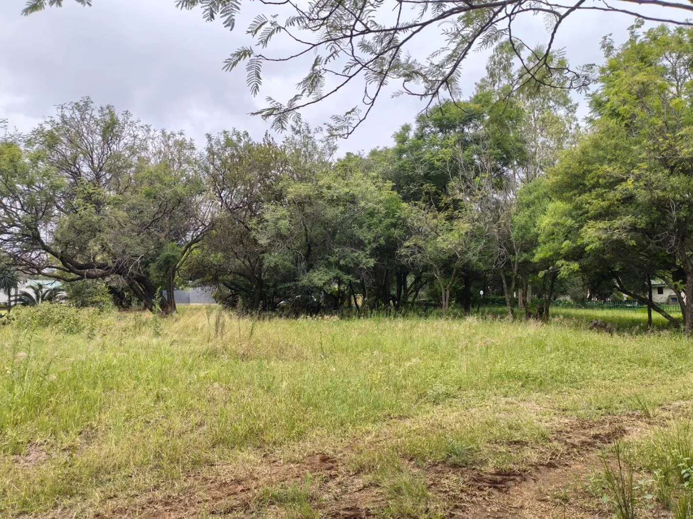 1 009 m² Land available in Wigwam