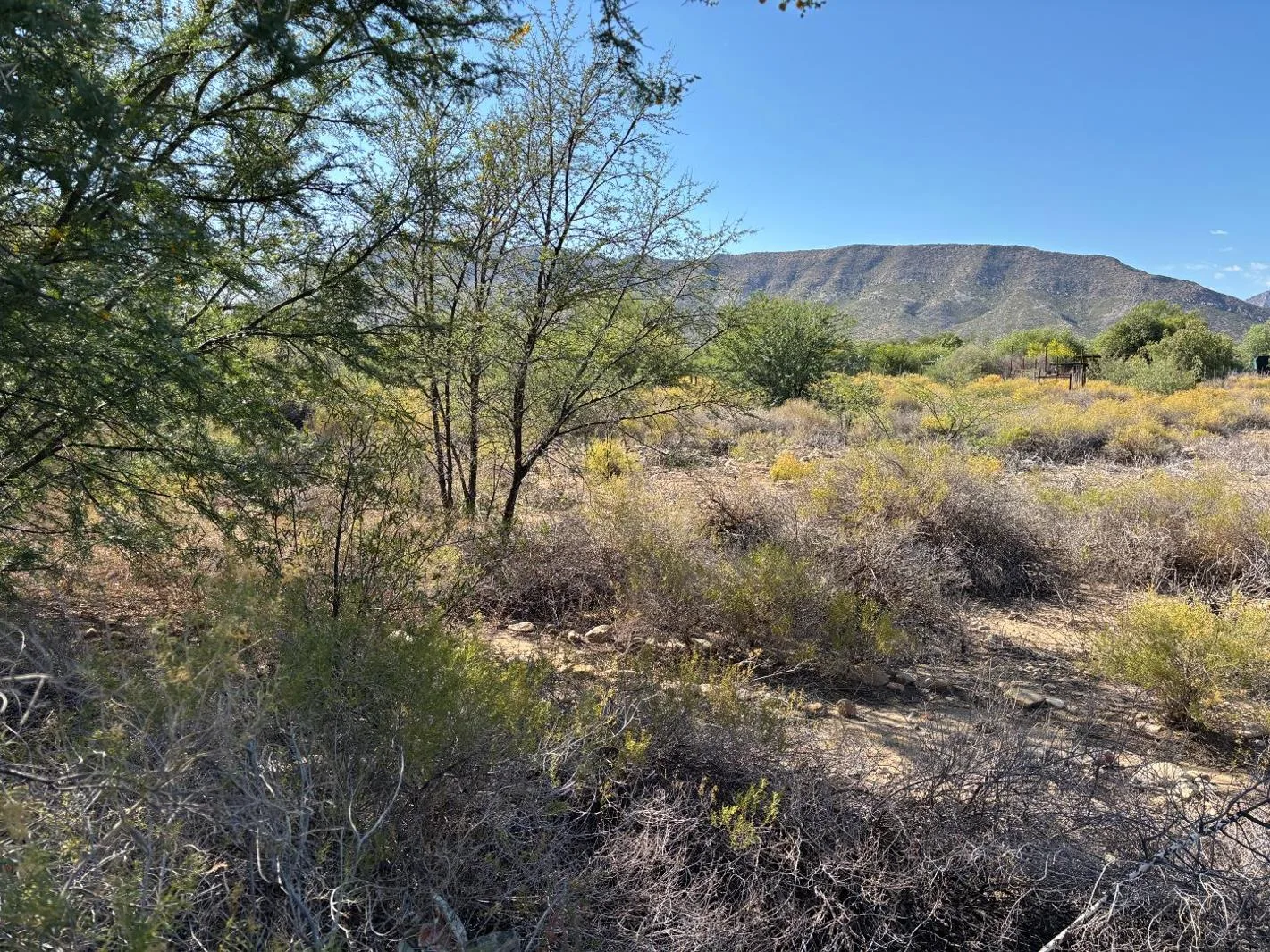 997 m² Land available in Prince Albert
