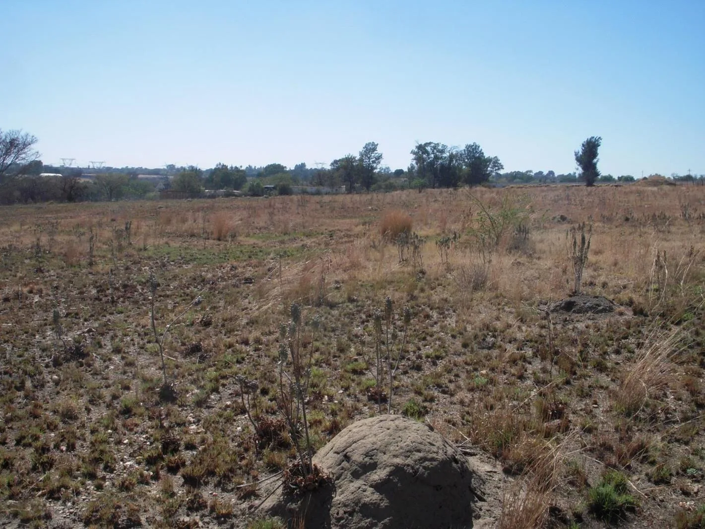 3 ha Land available in Laezonia