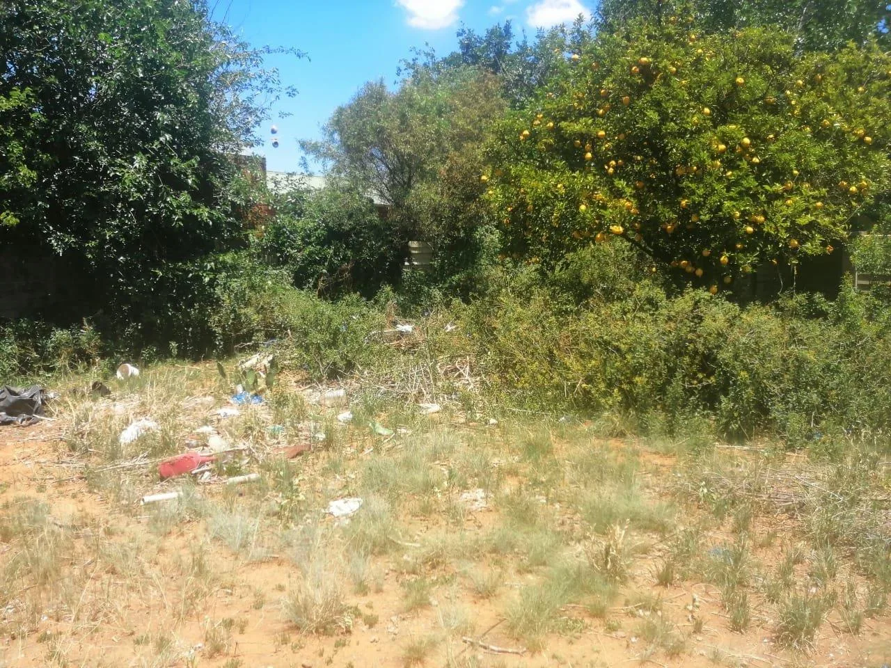 455 m² Land available in Wilgehof