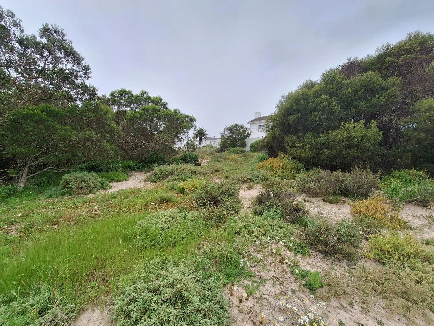 335 m² Land available in Shelley Point