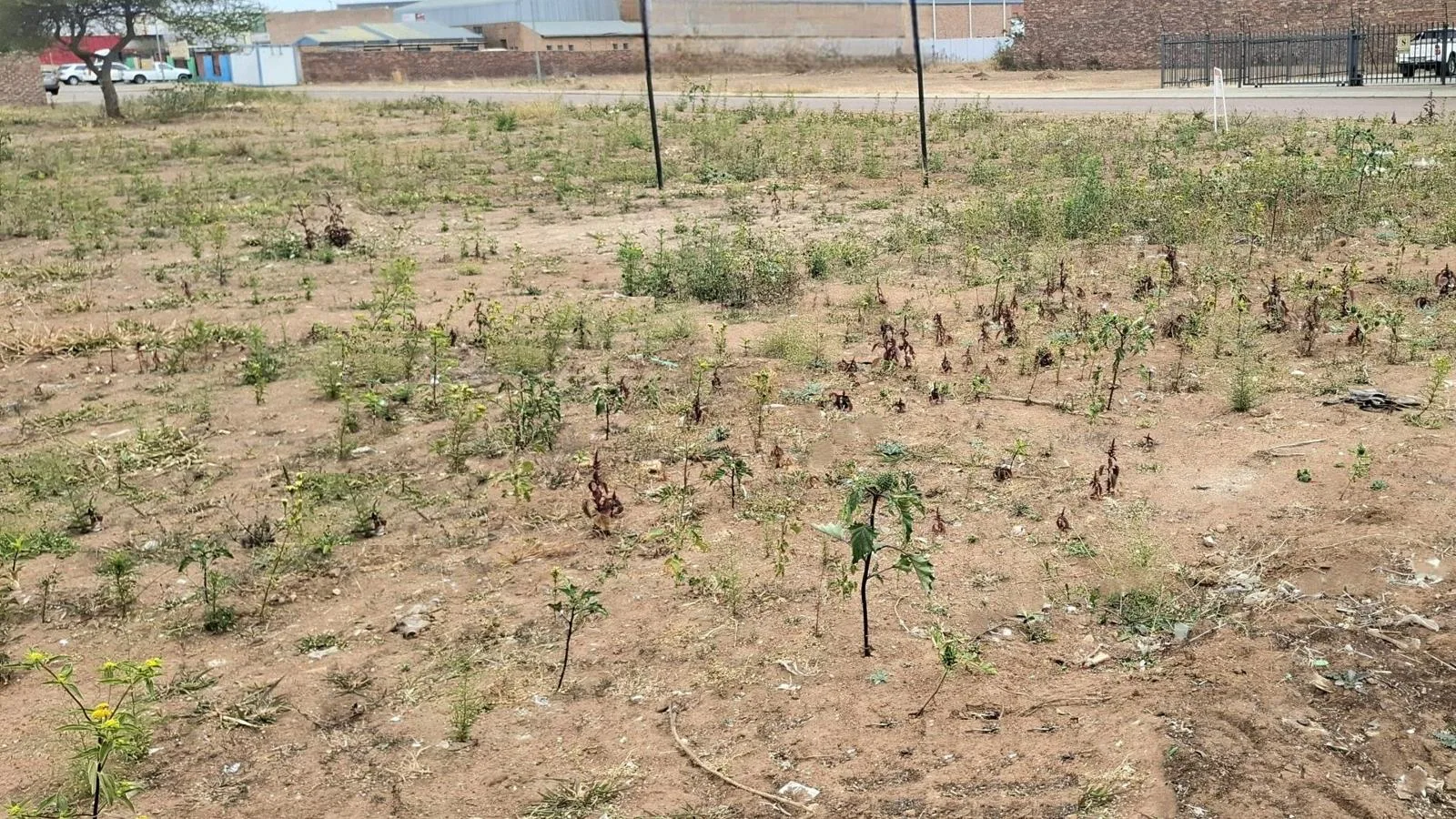 6 984 m² Land available in Polokwane Central