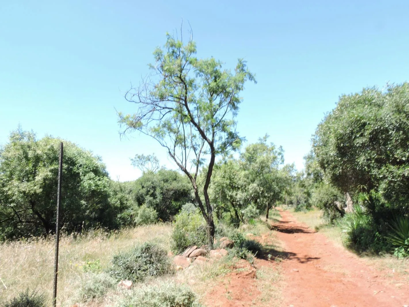 79.9 ha Farm in Rustenburg North