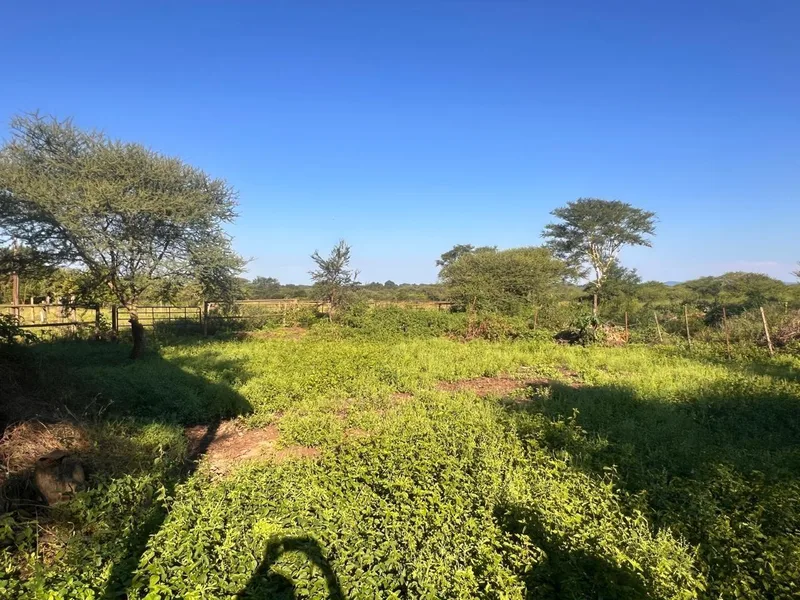 8.9 ha Land available in Louis Trichardt