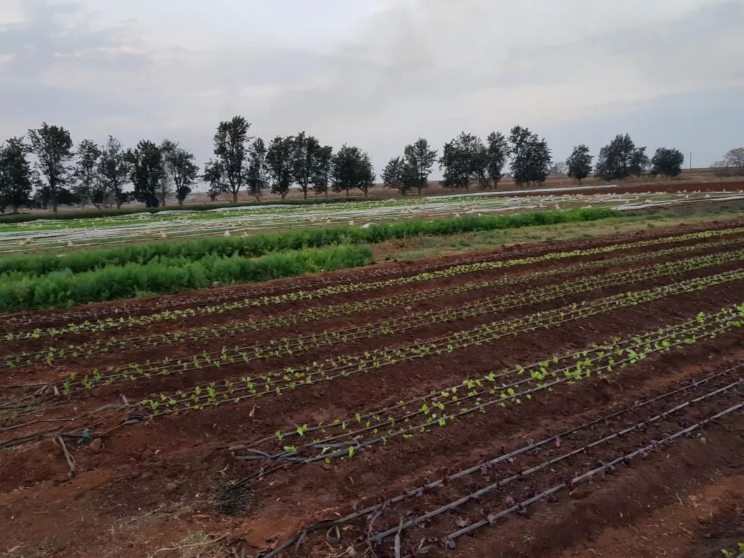8.9 ha Farm in Onderstepoort