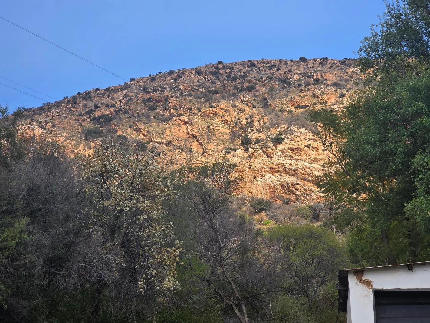 81 ha Farm in Rietvly AH