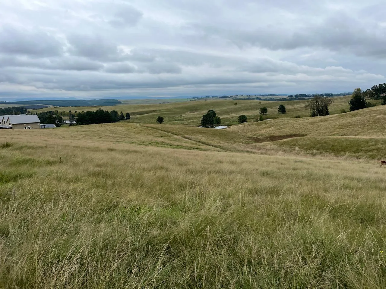 2 800 m² Land available in Nottingham Road