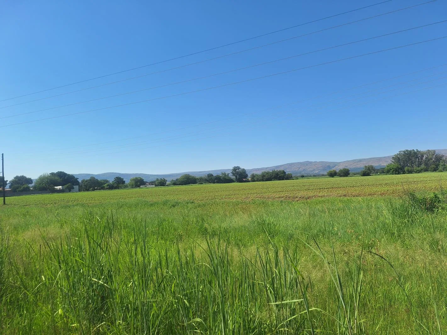 8.6 ha Farm in Kroondal