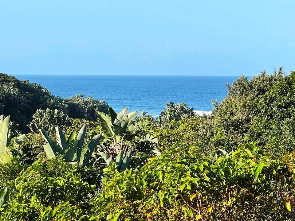 4 Bedroom Apartment / flat for sale in Port Zimbali