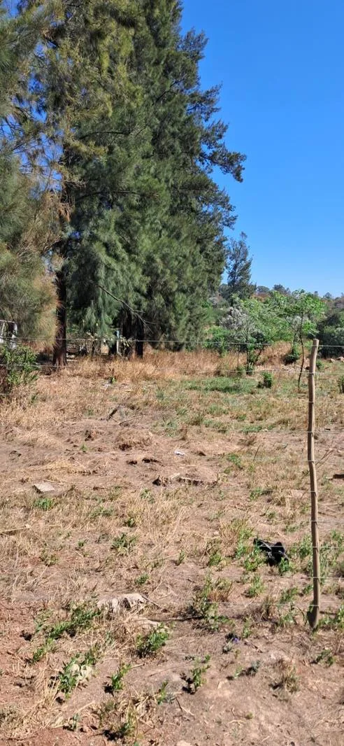 2.2 ha Land available in Farmall AH
