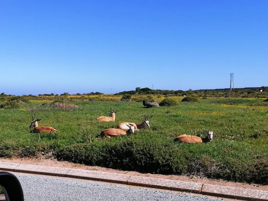 620 m² Land available in Hoogland