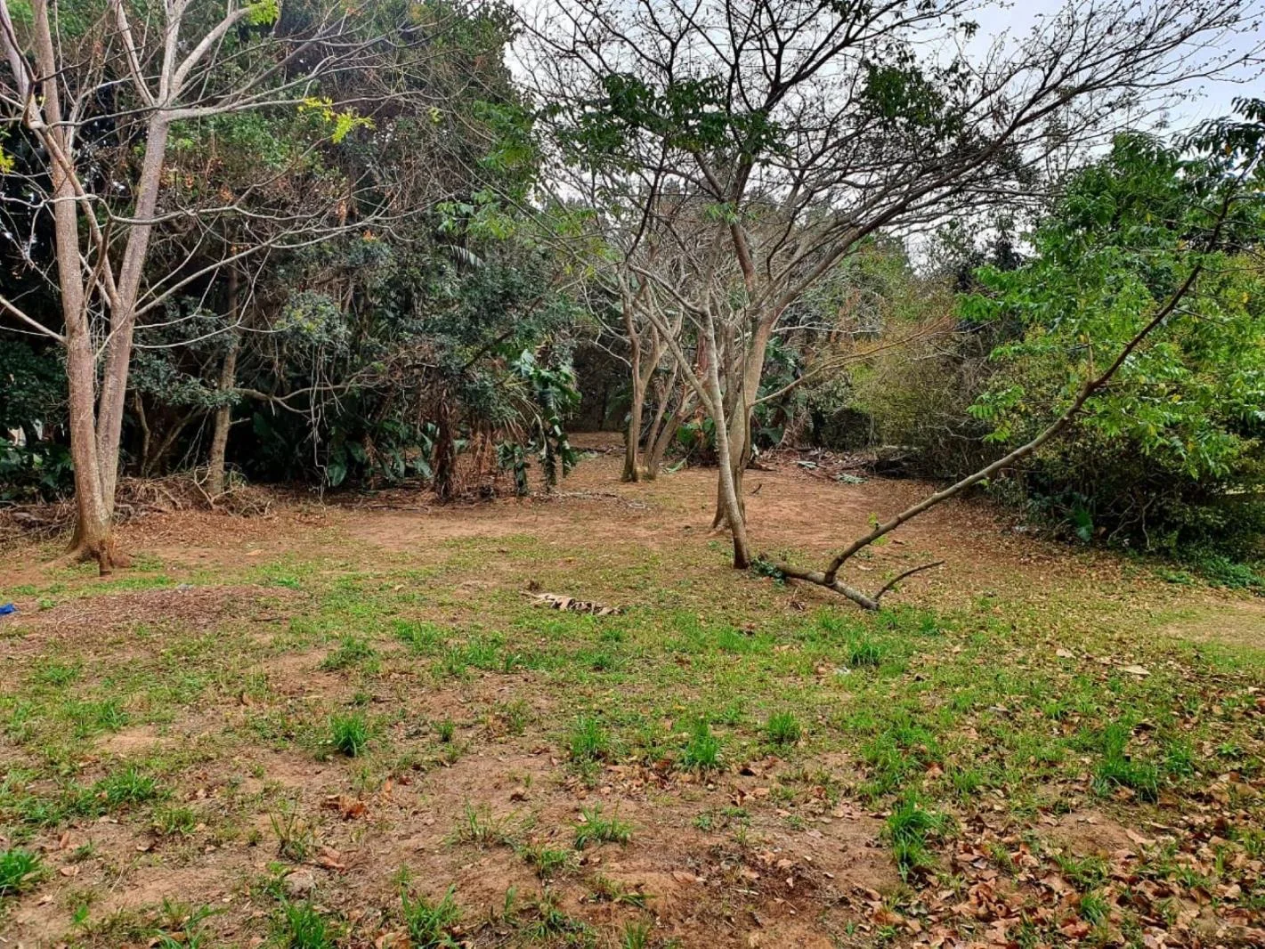 1 259 m² Land available in Hibberdene