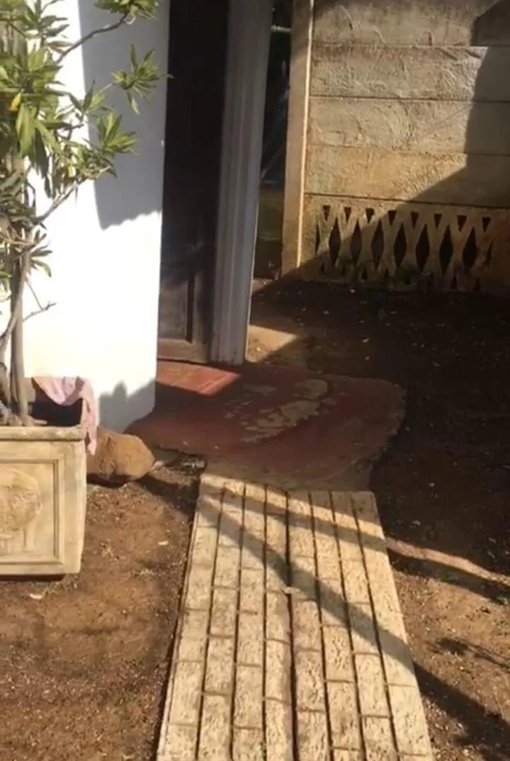 1 Bedroom House to rent in Melmoth