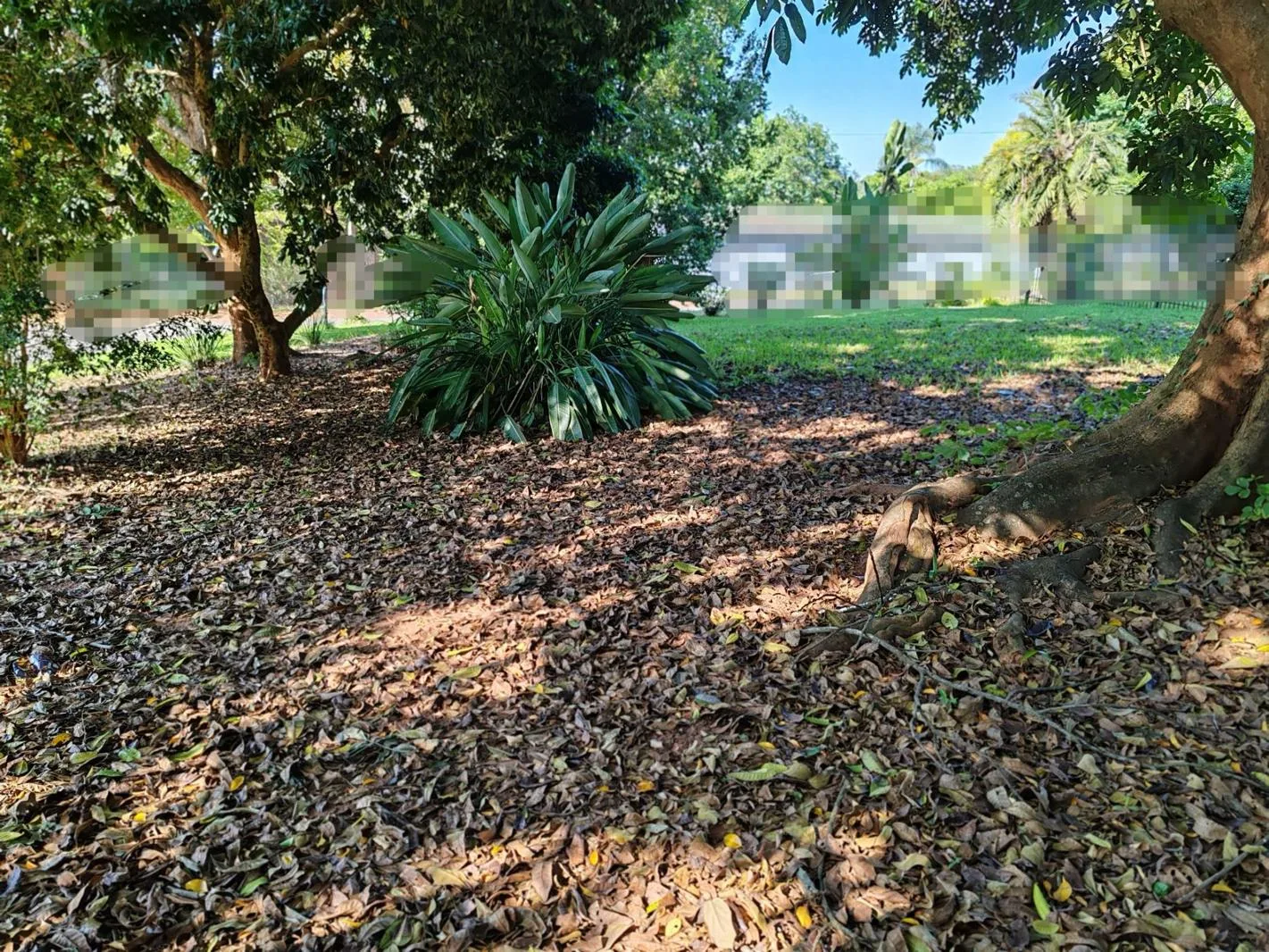 511 m² Land available in Aquapark
