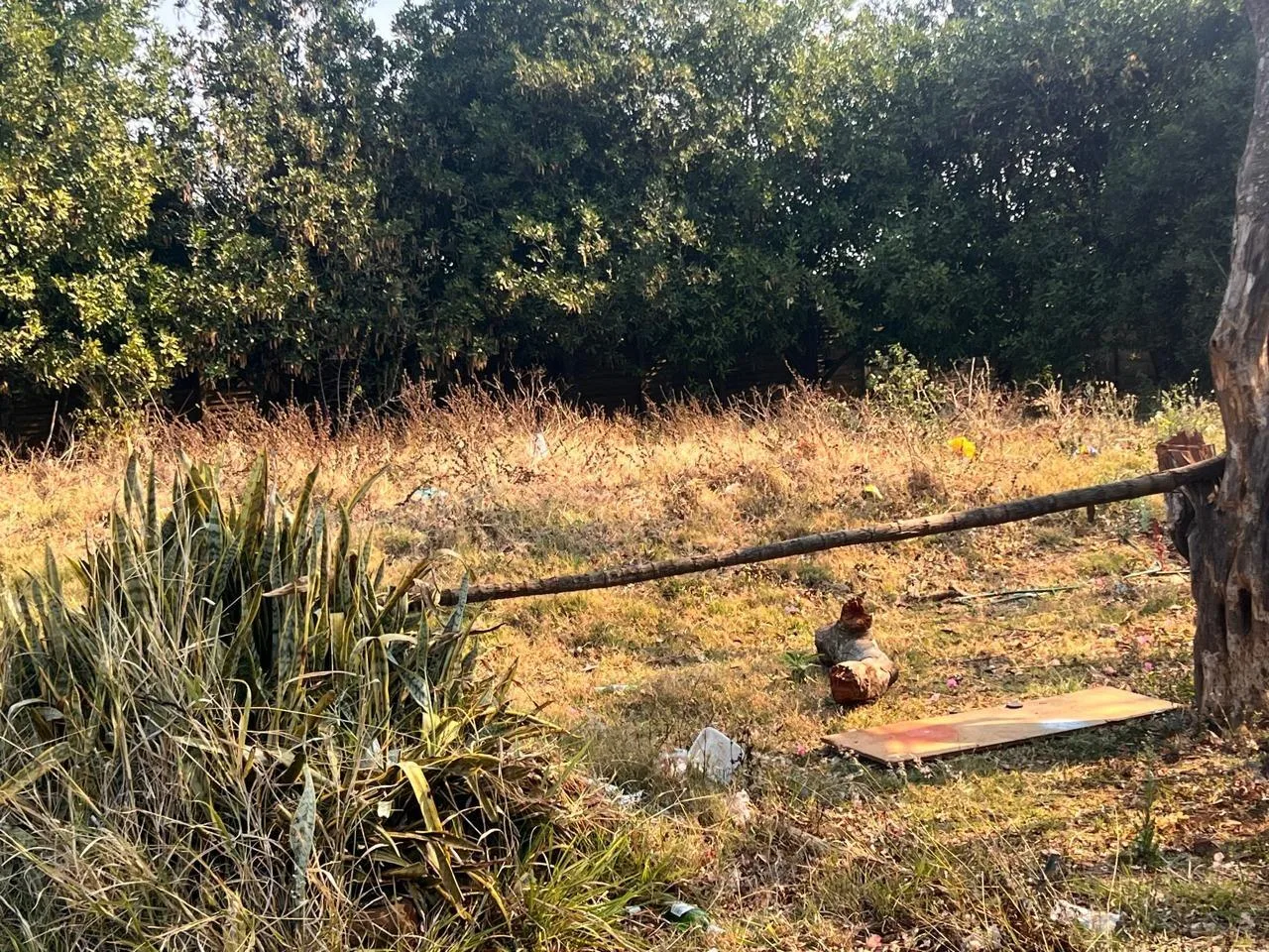 2 855 m² Land available in Louis Trichardt