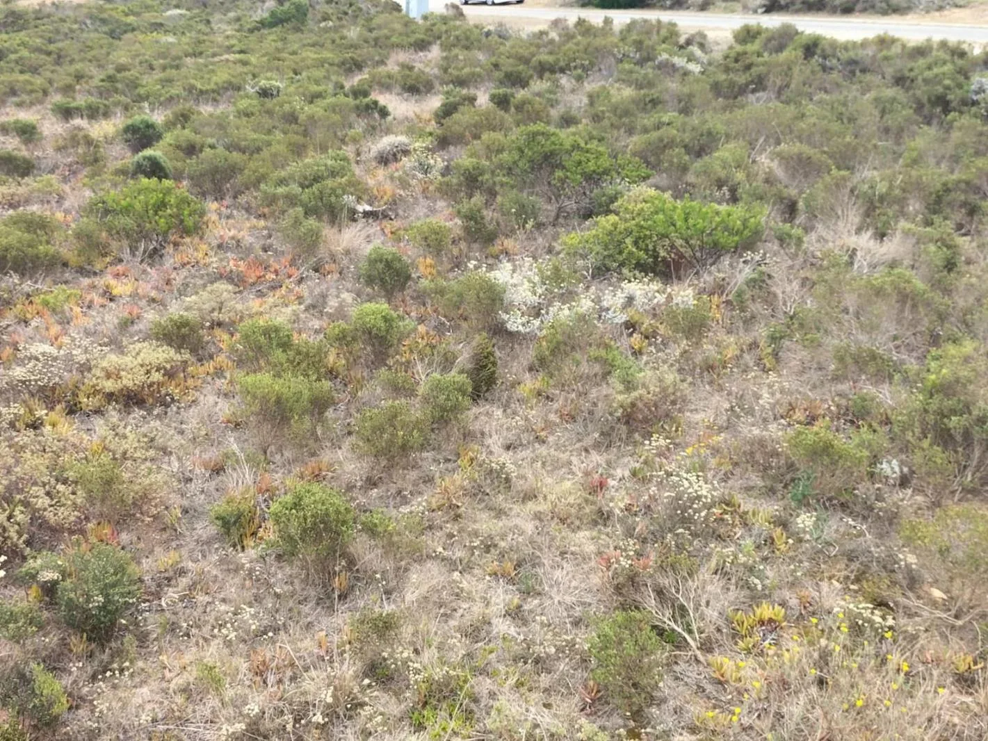 2 200 m² Land available in Mossel Bay Central