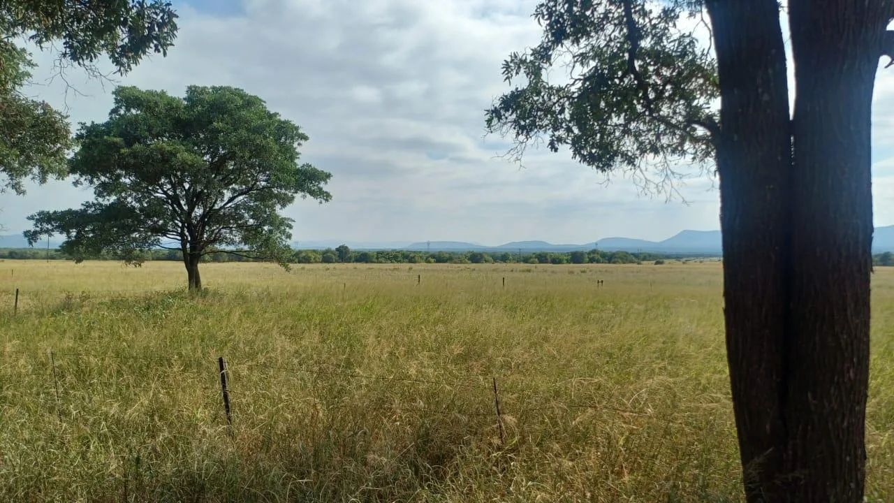 131.9 ha Farm in Waterval East