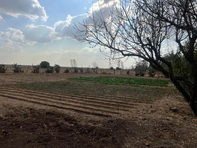 House for sale in Heilbron