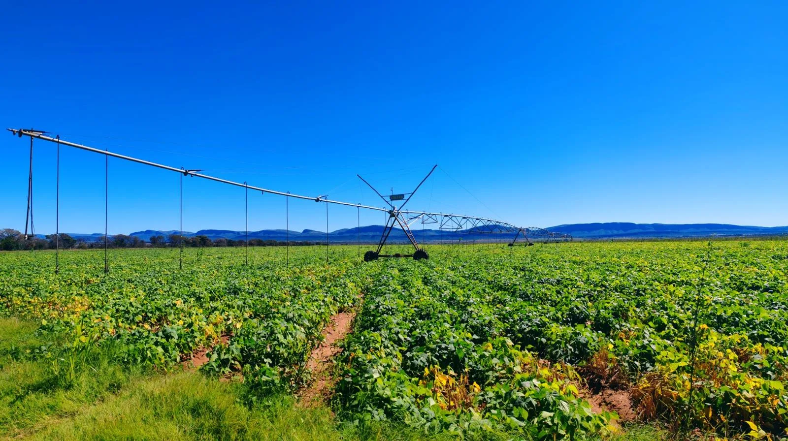 408 ha Farm in Modimolle (Nylstroom)