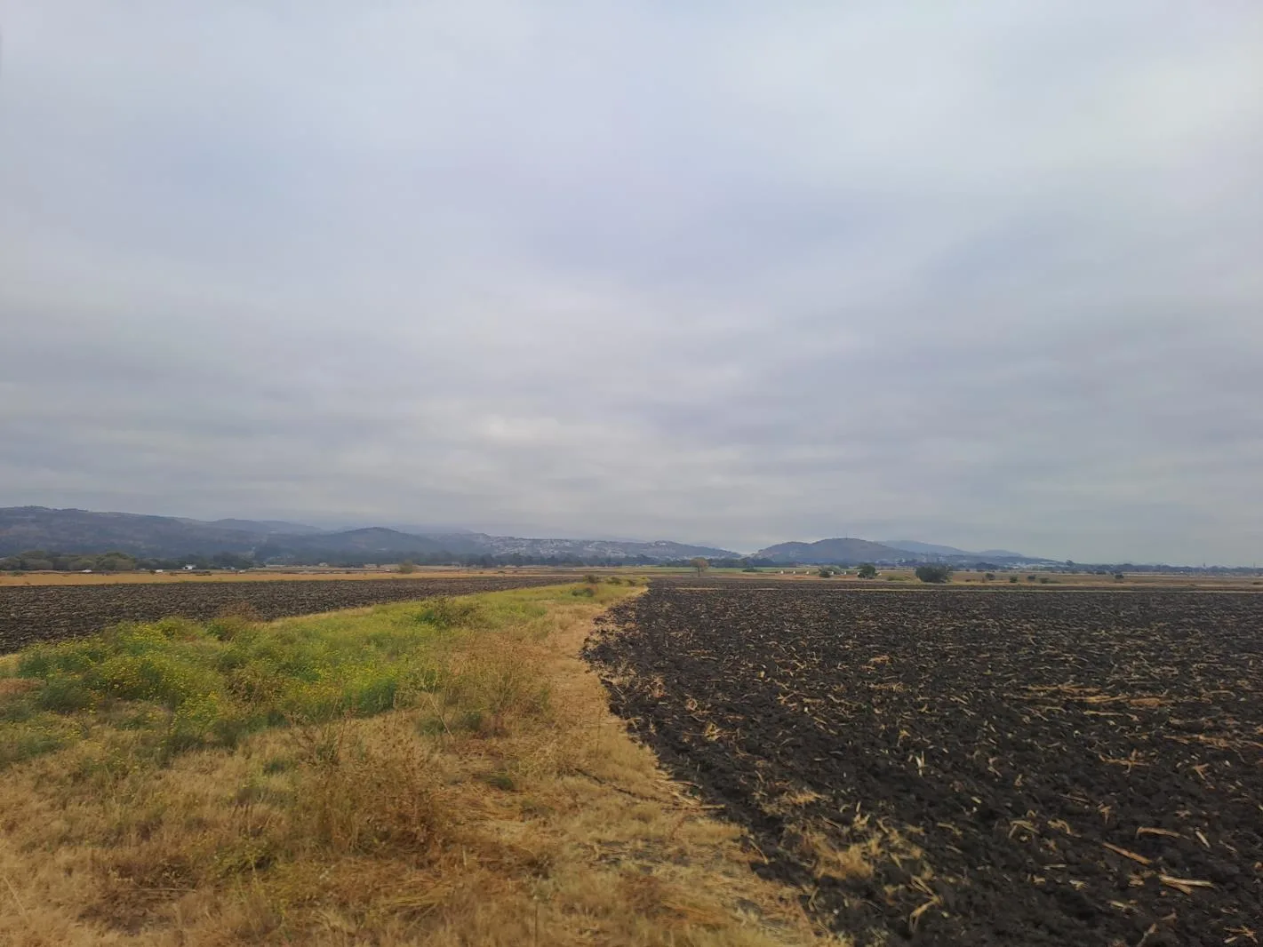 10.3 ha Farm in Waterkloof