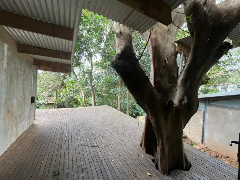 1 Bedroom Apartment / flat to rent in Mtunzini
