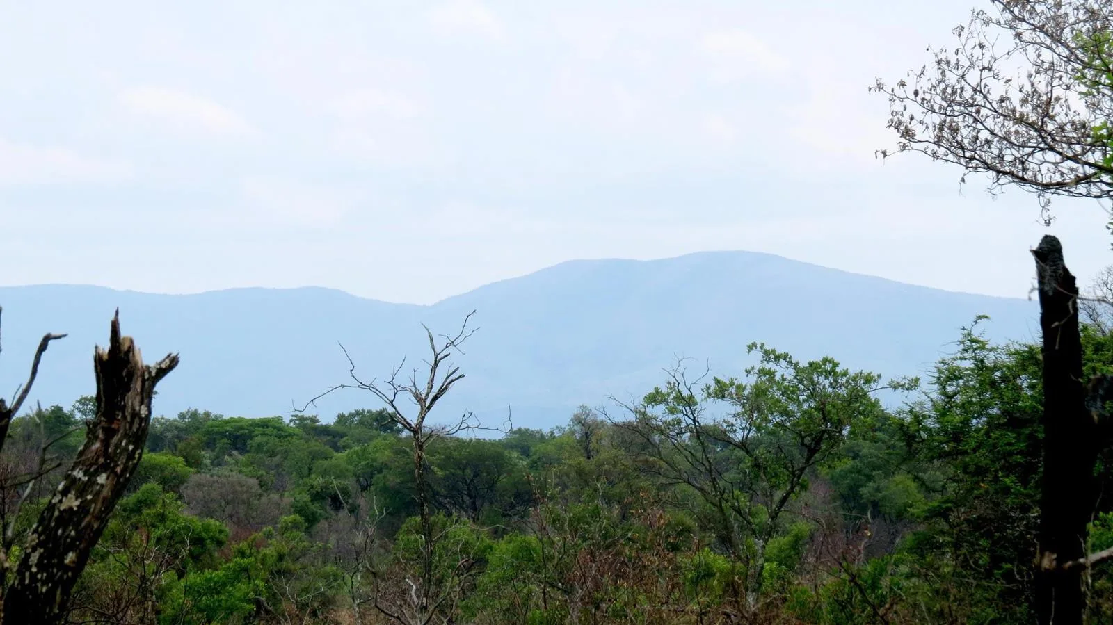 1 ha Land available in Zebula Golf Estate
