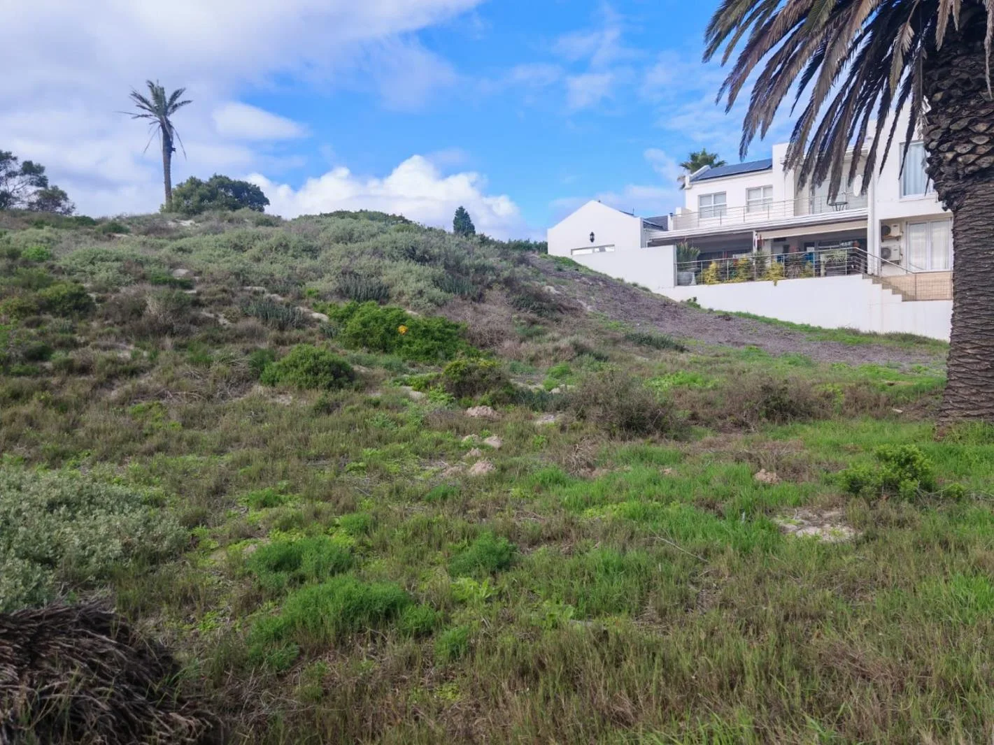 487 m² Land available in Shelley Point