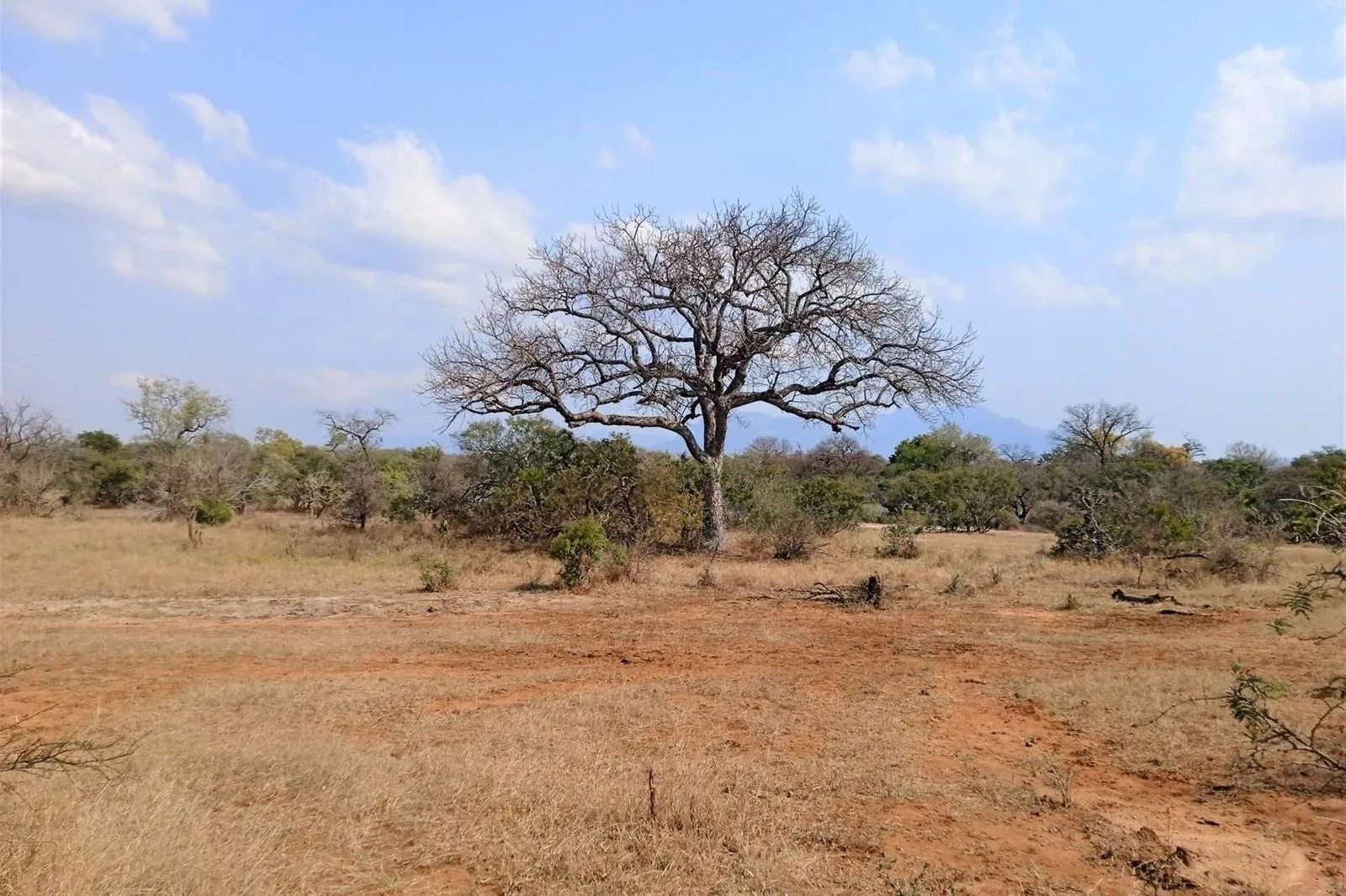 1 ha Land available in Moditlo Nature Reserve