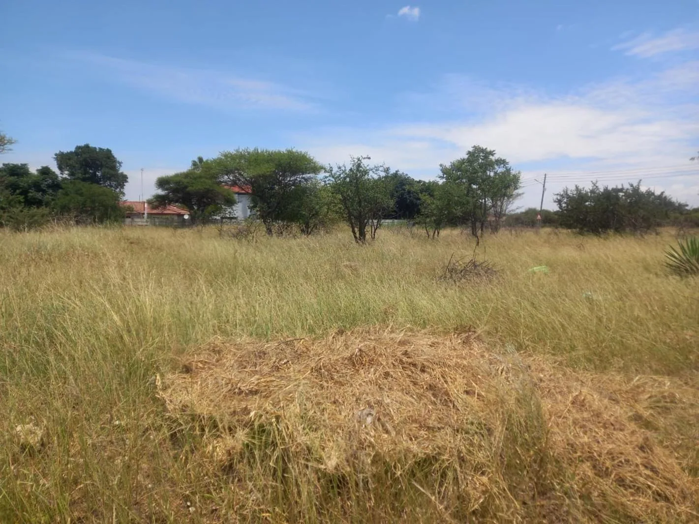 672 m² Land available in Dendron