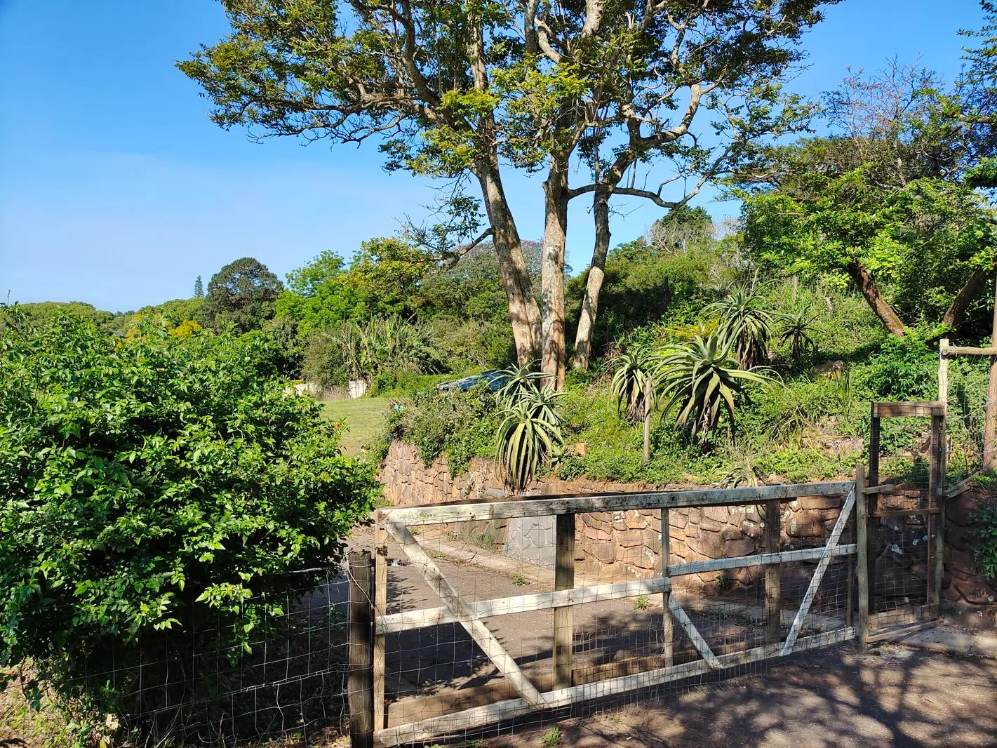 1 801 m² Land available in Hillcrest Central
