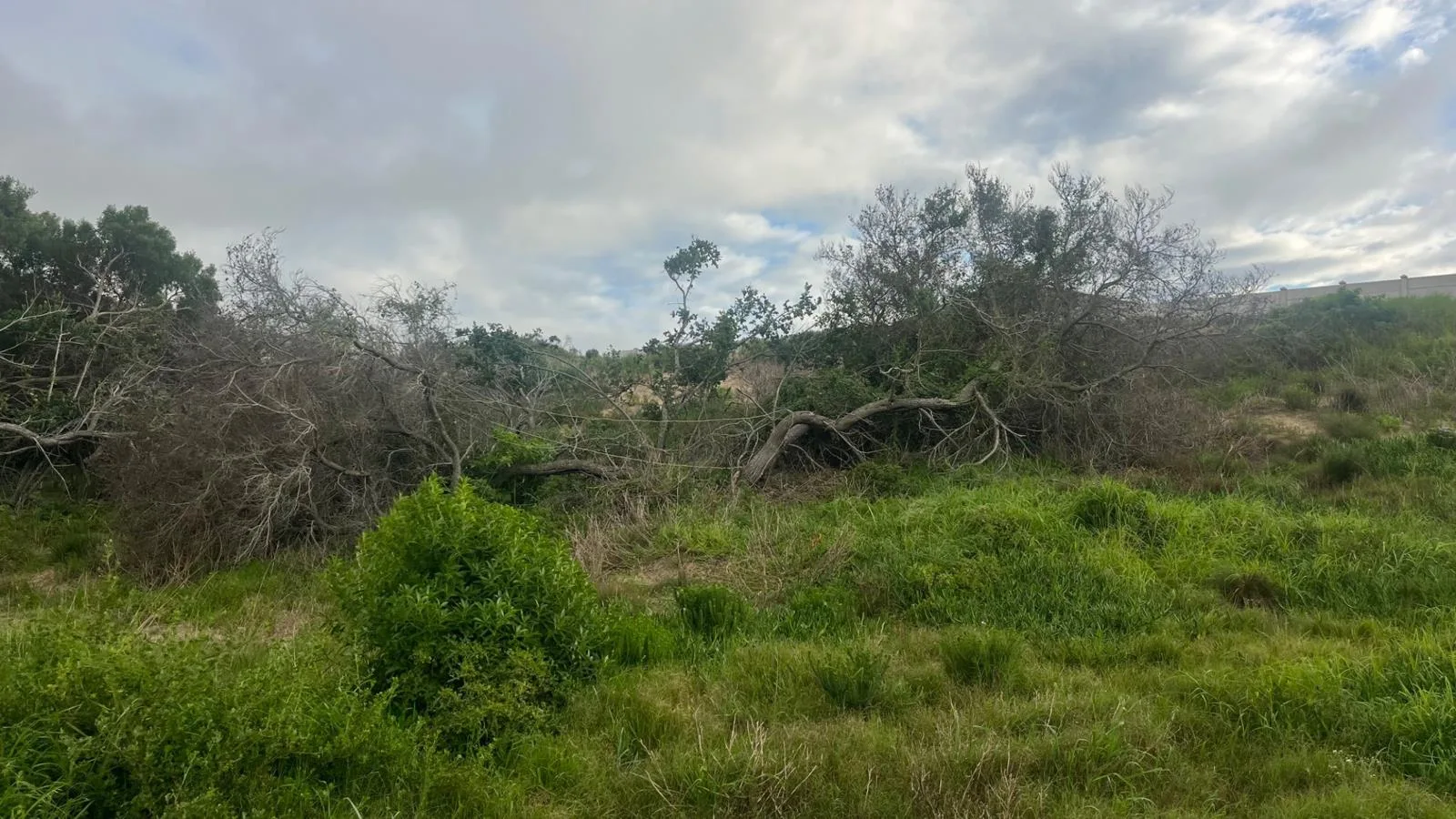 800 m² Land available in Paradise Beach