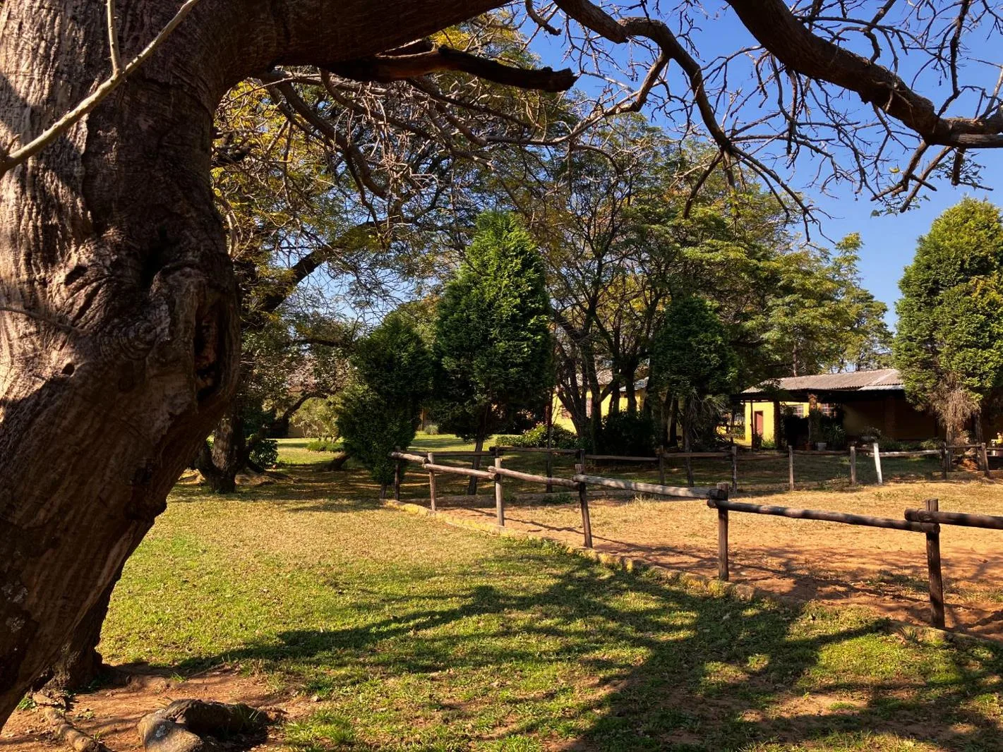 8.6 ha Farm in Rietfontein AH