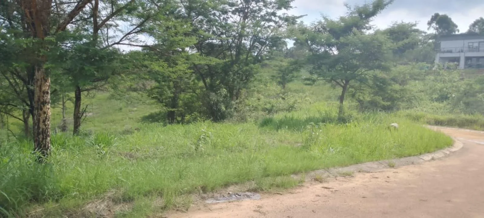 516 m² Land available in Tzaneen