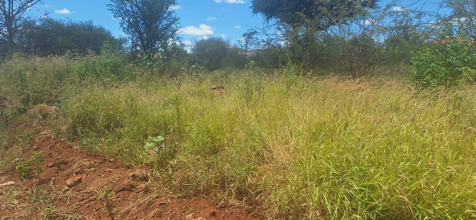 1 616 m² Land available in Chroom Park