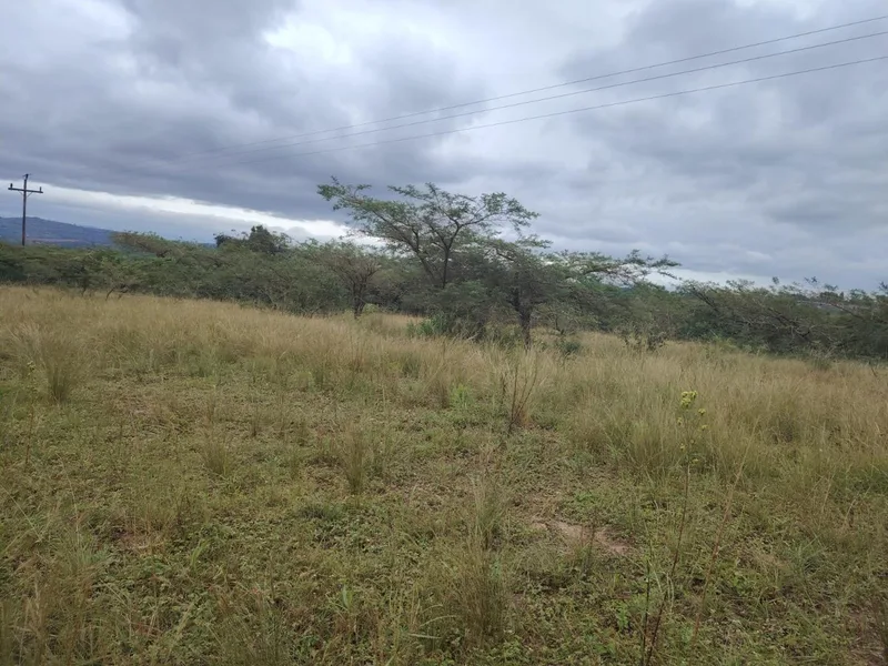 4.4 ha Land available in Cliffdale