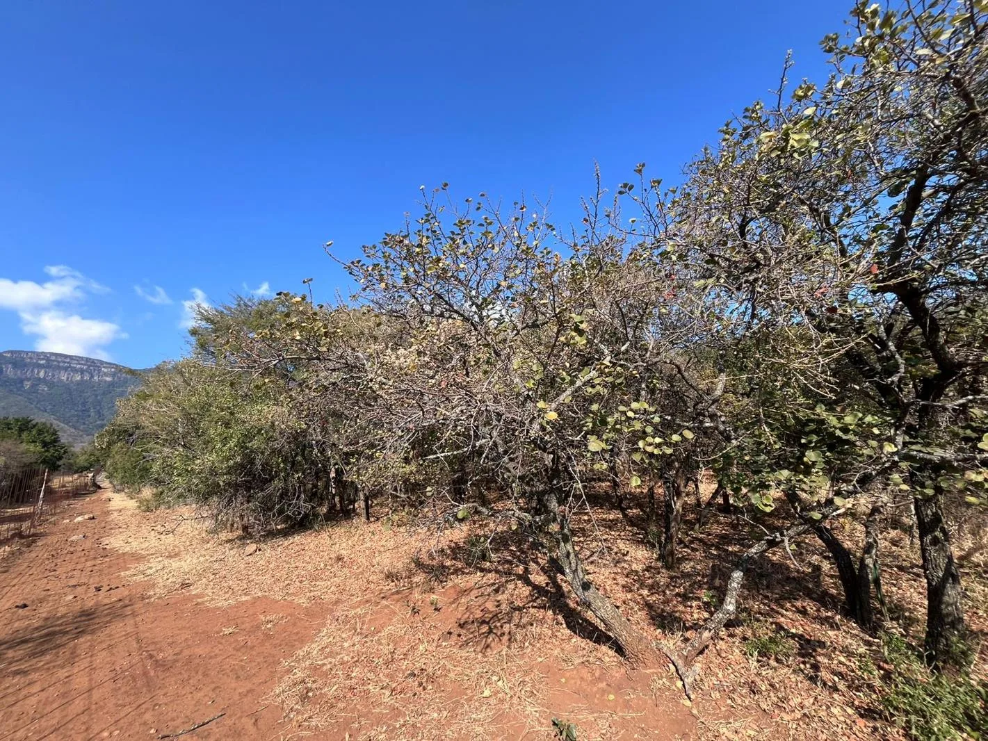 2 684 m² Land available in Kampersrus AH