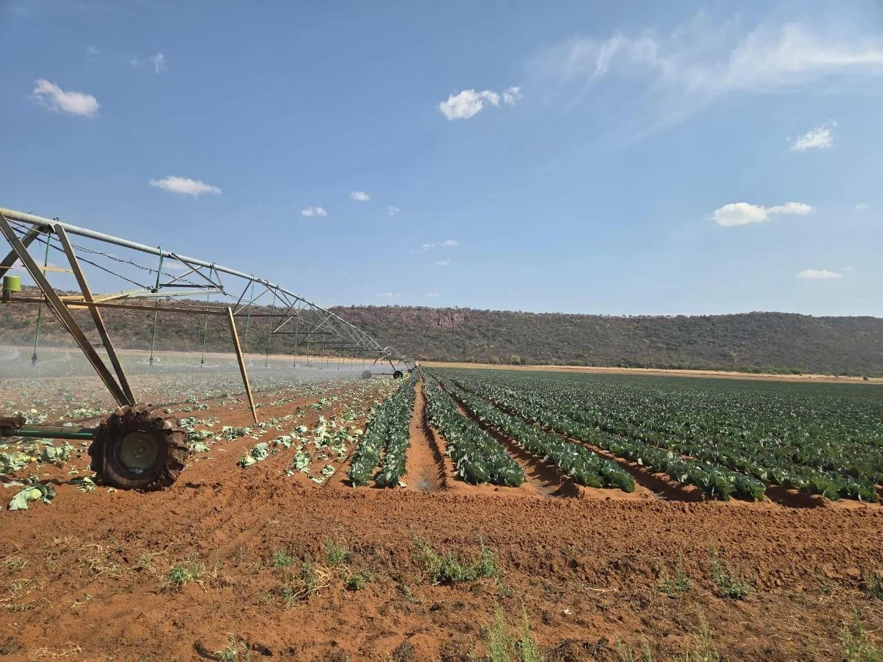 206 ha Farm in Modimolle (Nylstroom)
