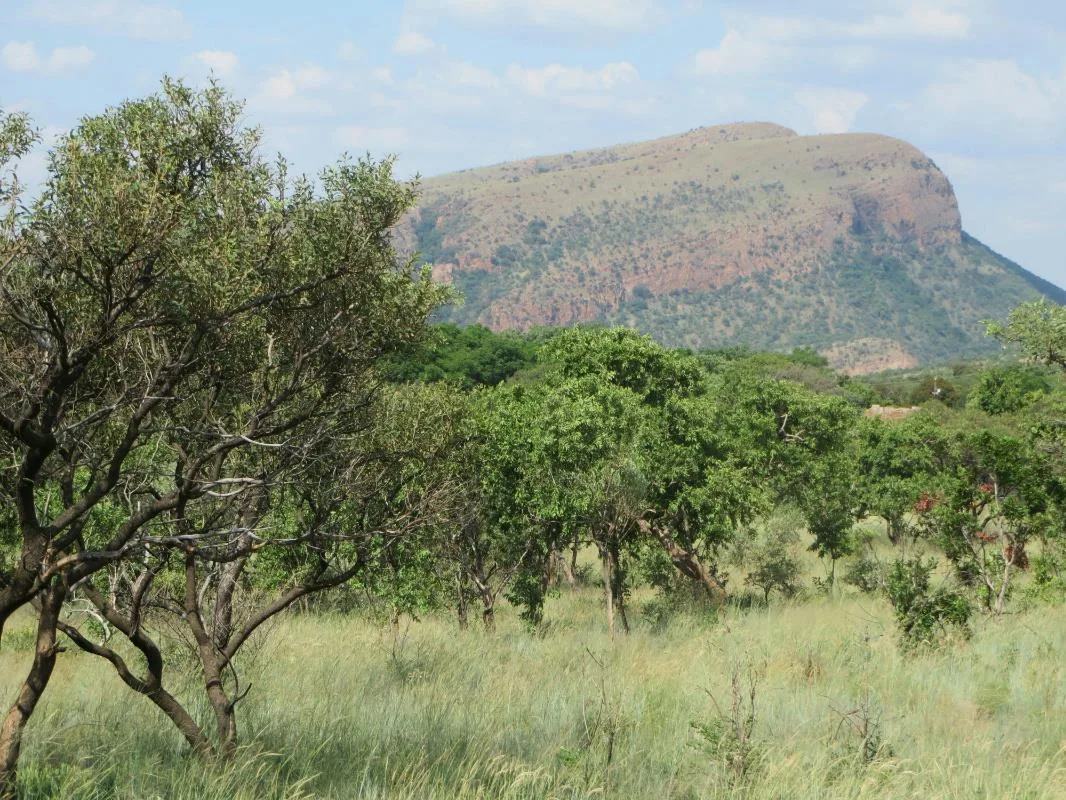 21 ha Farm in Brits