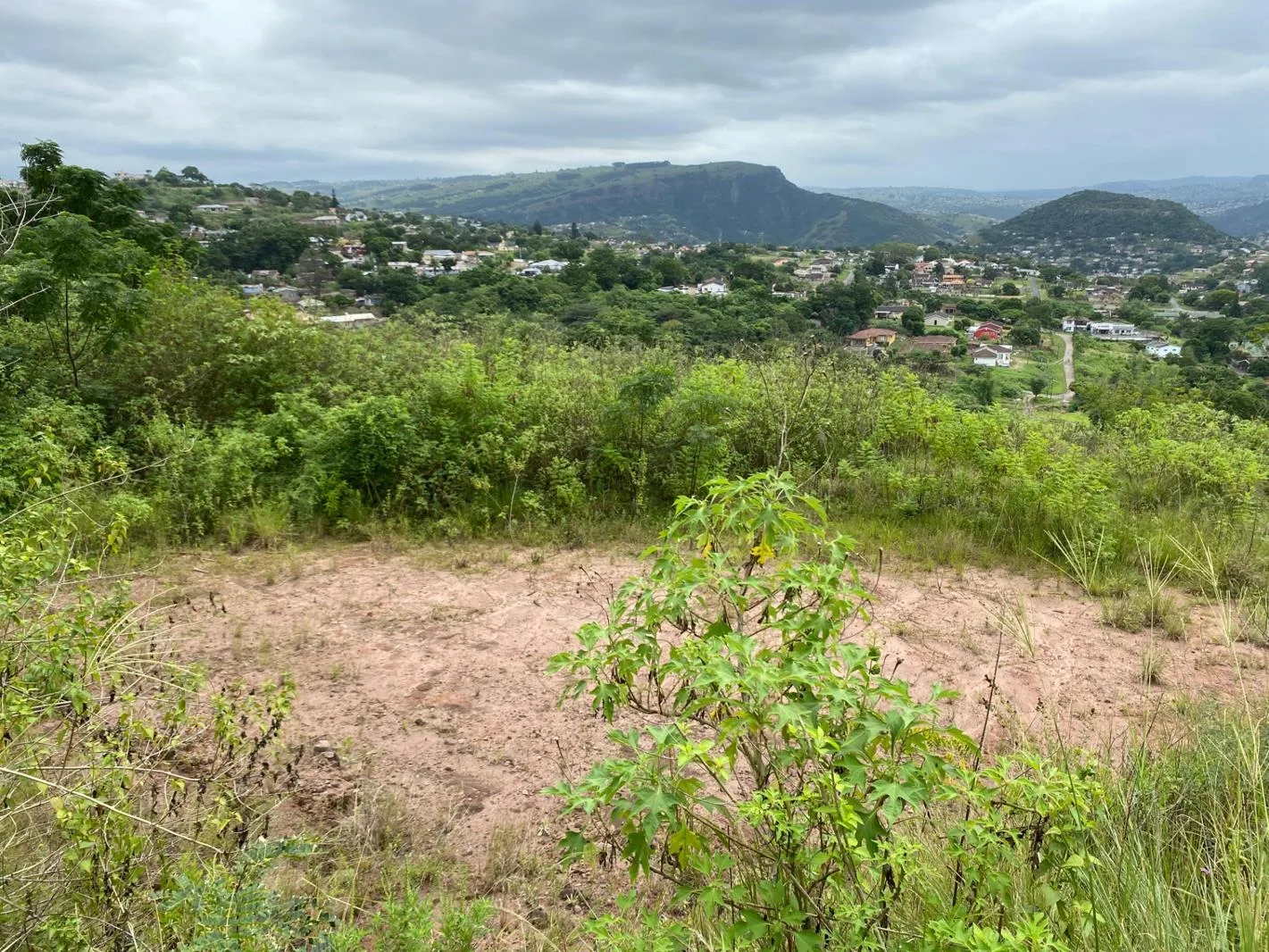 973 m² Land available in Nagina