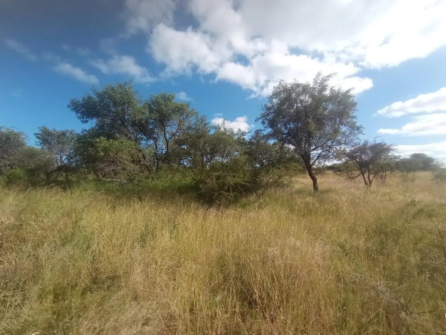 21.6 ha Land available in Mokopane