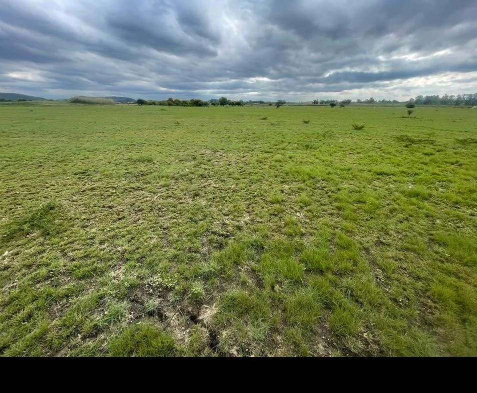 10 ha Farm in Wonderboom