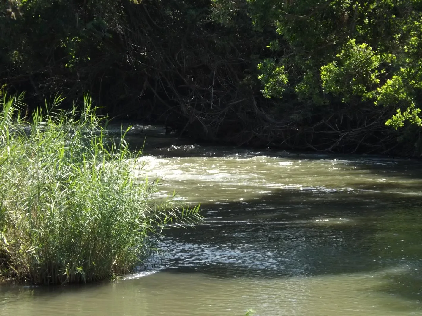 31.5 ha Farm in Nelspruit (Mbombela) Outlying