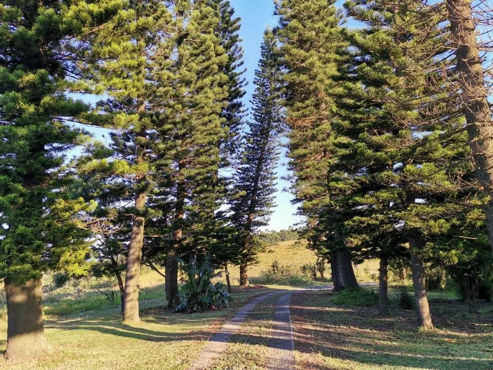 18 Bedroom House for sale in Umkomaas
