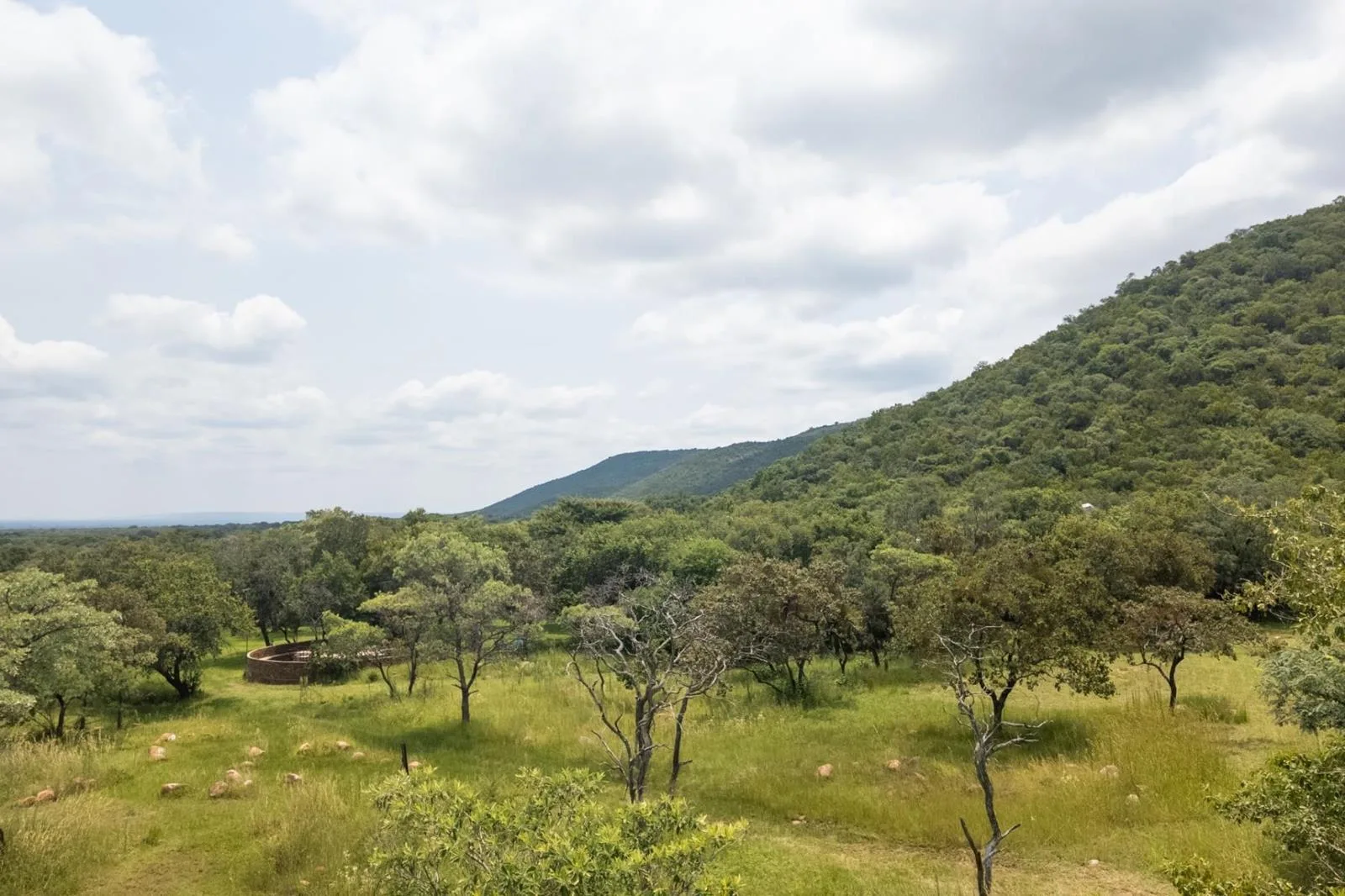 70 ha Farm in Modimolle (Nylstroom)