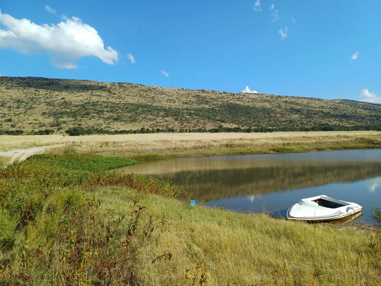 7.8 ha Farm in Bultfontein AH