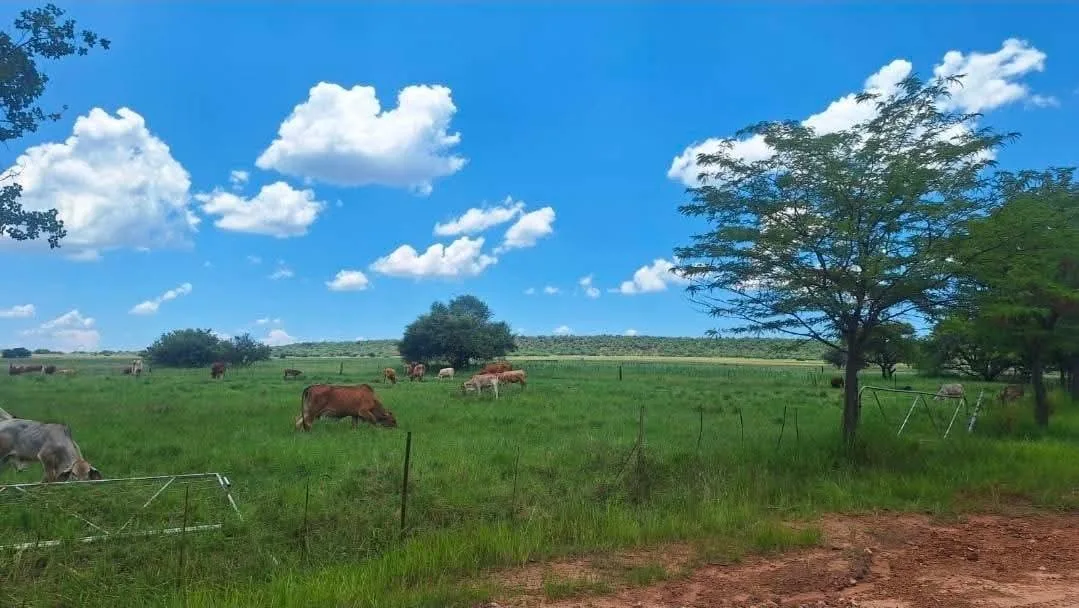442 ha Farm in Modimolle (Nylstroom) Outlying